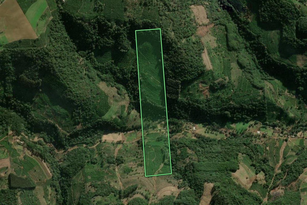 Imagem de satélite do imóvel rural em Ilópolis (RS), com o contorno declarado no CAR desenhado por cima.