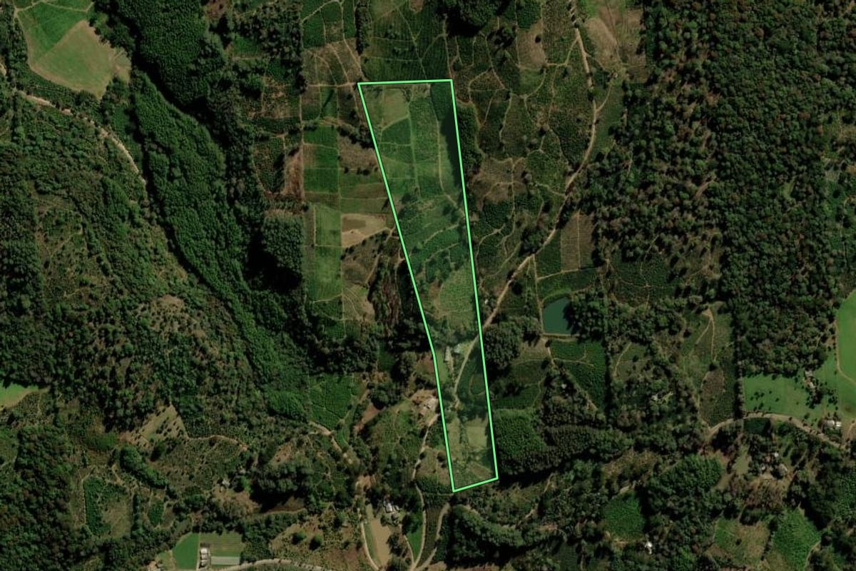 Imagem de satélite do imóvel rural em Ilópolis (RS), com o contorno declarado no CAR desenhado por cima.