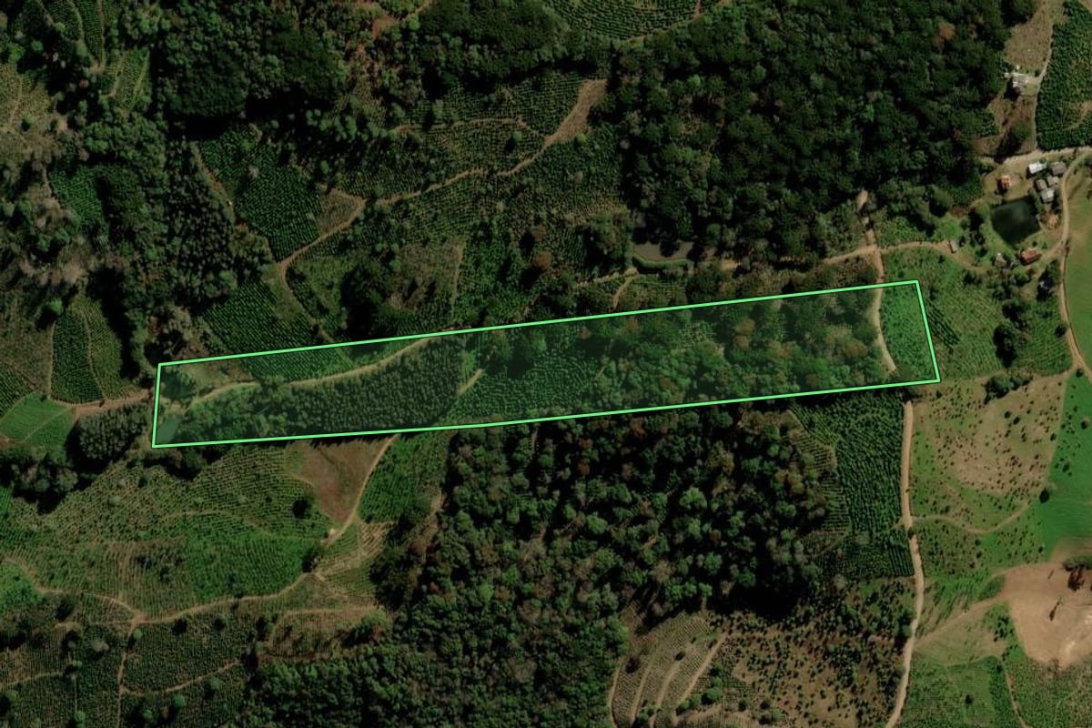 Imagem de satélite do imóvel rural em Ilópolis (RS), com o contorno declarado no CAR desenhado por cima.