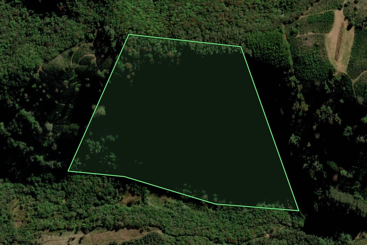 Imagem de satélite do imóvel rural em Ilópolis (RS), com o contorno declarado no CAR desenhado por cima.