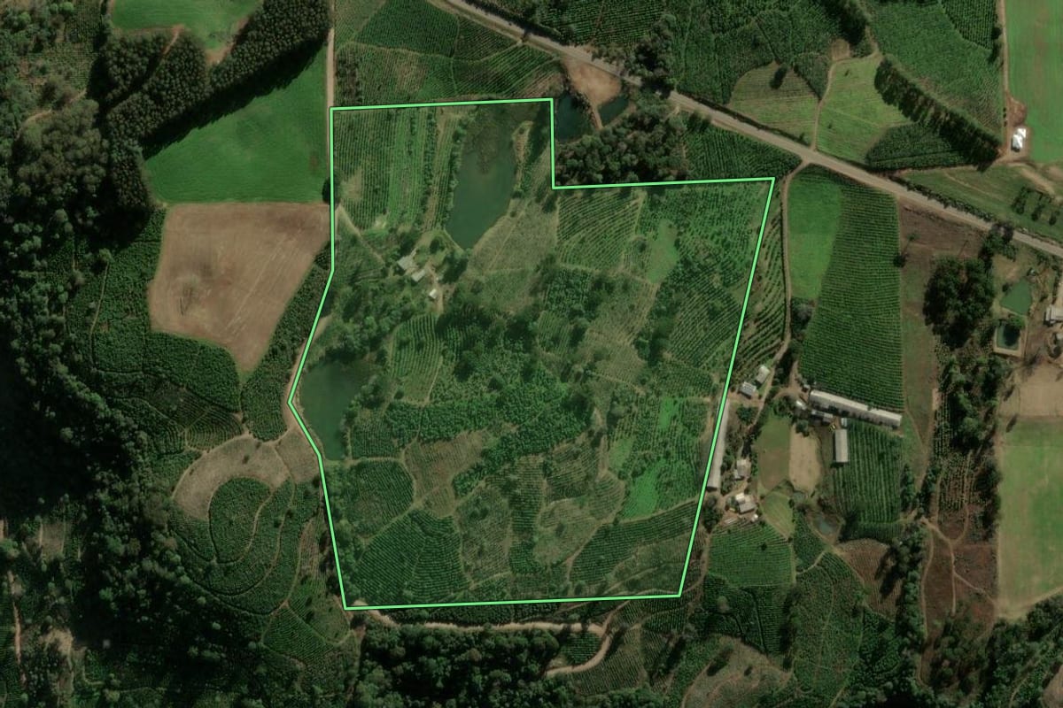 Imagem de satélite do imóvel rural em Ilópolis (RS), com o contorno declarado no CAR desenhado por cima.