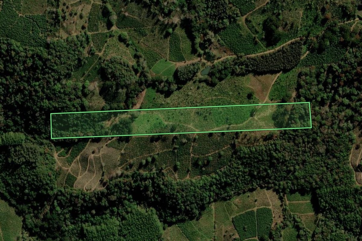 Imagem de satélite do imóvel rural em Ilópolis (RS), com o contorno declarado no CAR desenhado por cima.
