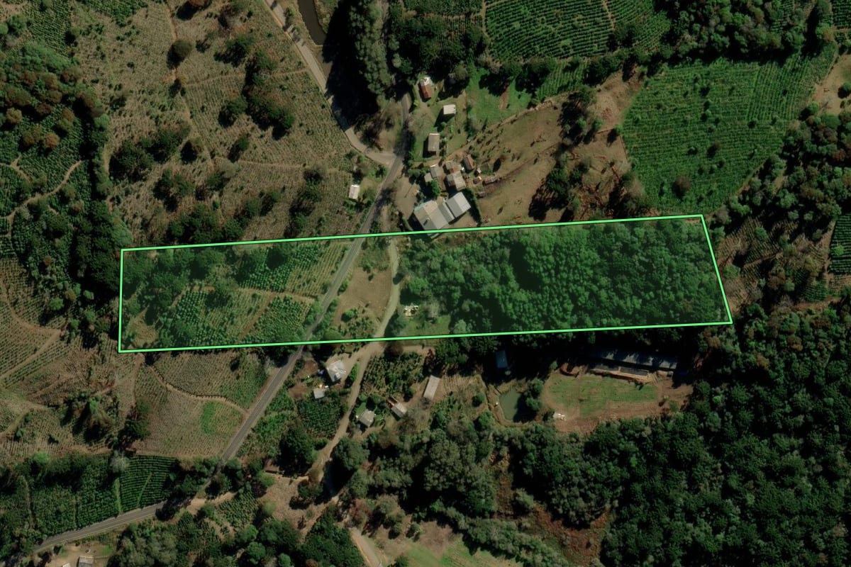 Imagem de satélite do imóvel rural em Ilópolis (RS), com o contorno declarado no CAR desenhado por cima.