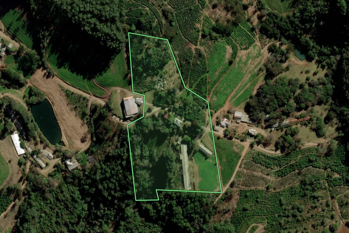 Imagem de satélite do imóvel rural em Ilópolis (RS), com o contorno declarado no CAR desenhado por cima.