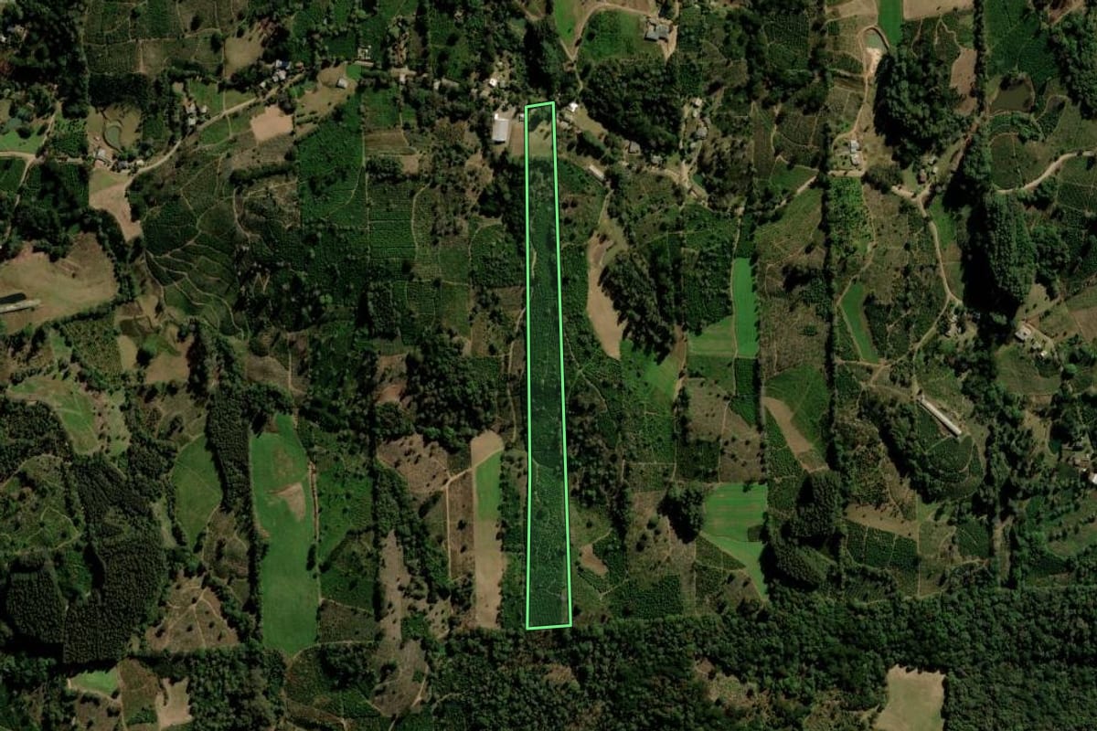Imagem de satélite do imóvel rural em Ilópolis (RS), com o contorno declarado no CAR desenhado por cima.