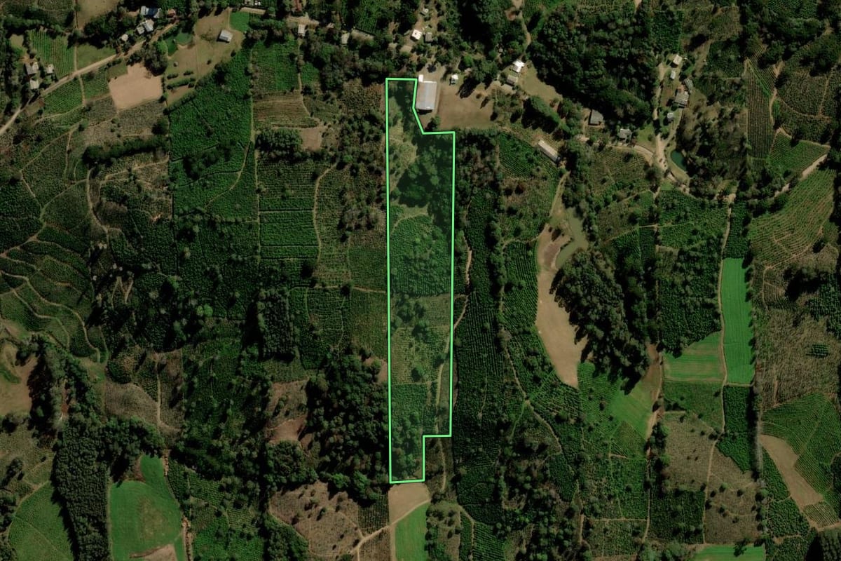 Imagem de satélite do imóvel rural em Ilópolis (RS), com o contorno declarado no CAR desenhado por cima.