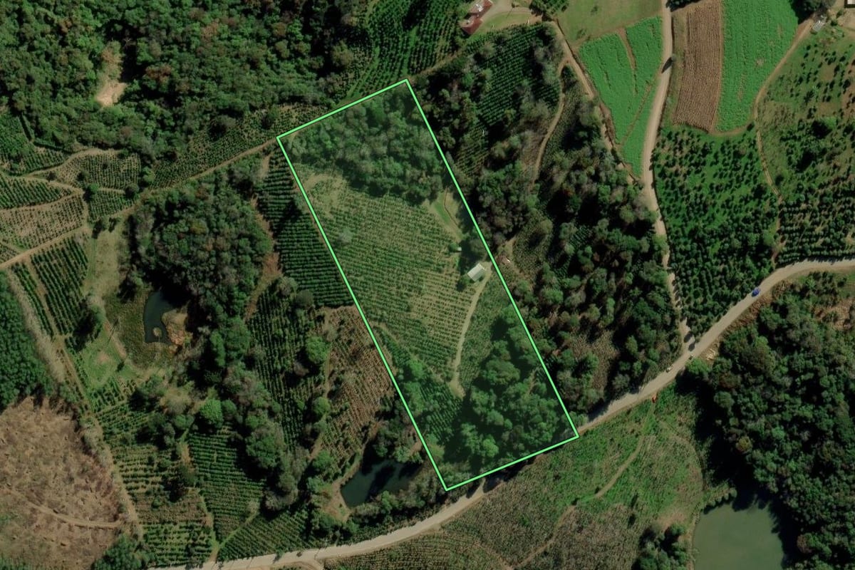Imagem de satélite do imóvel rural em Ilópolis (RS), com o contorno declarado no CAR desenhado por cima.