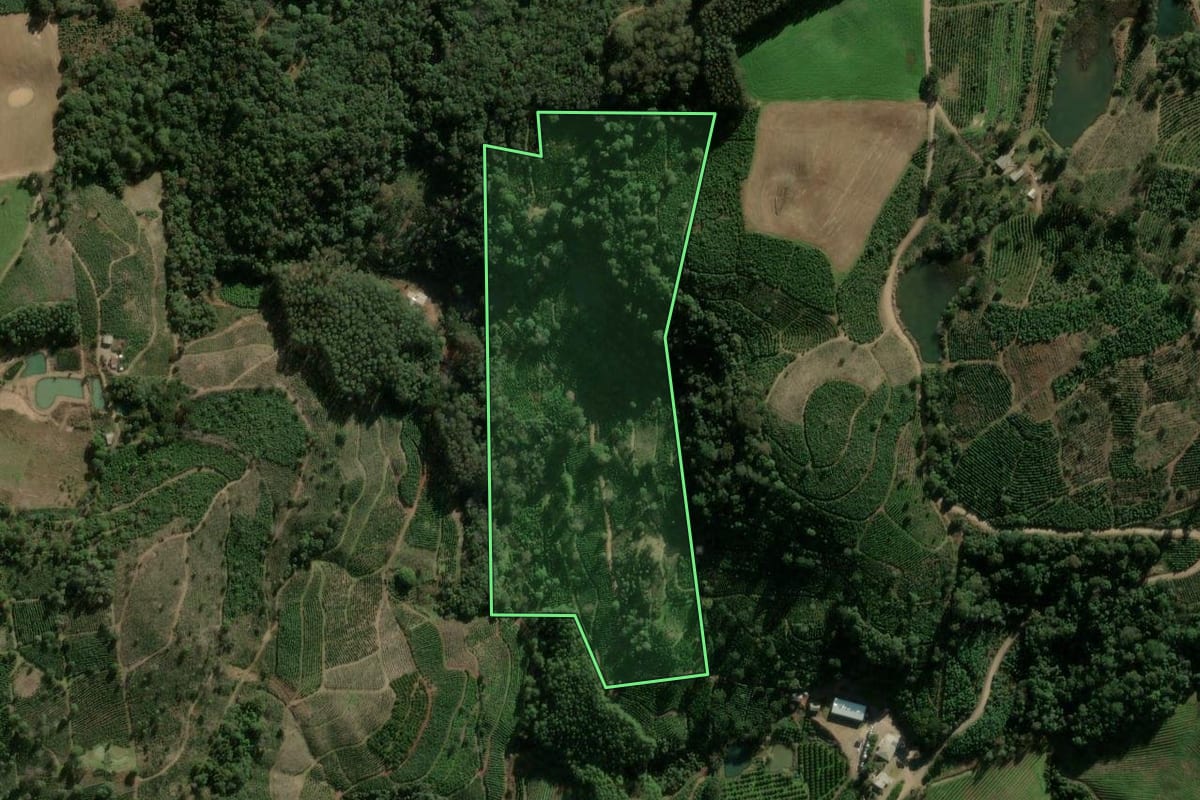 Imagem de satélite do imóvel rural em Ilópolis (RS), com o contorno declarado no CAR desenhado por cima.