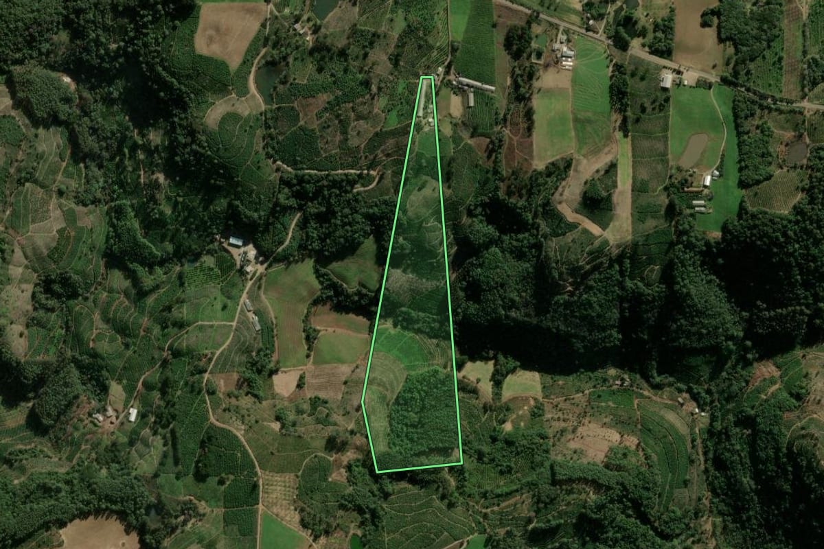 Imagem de satélite do imóvel rural em Ilópolis (RS), com o contorno declarado no CAR desenhado por cima.