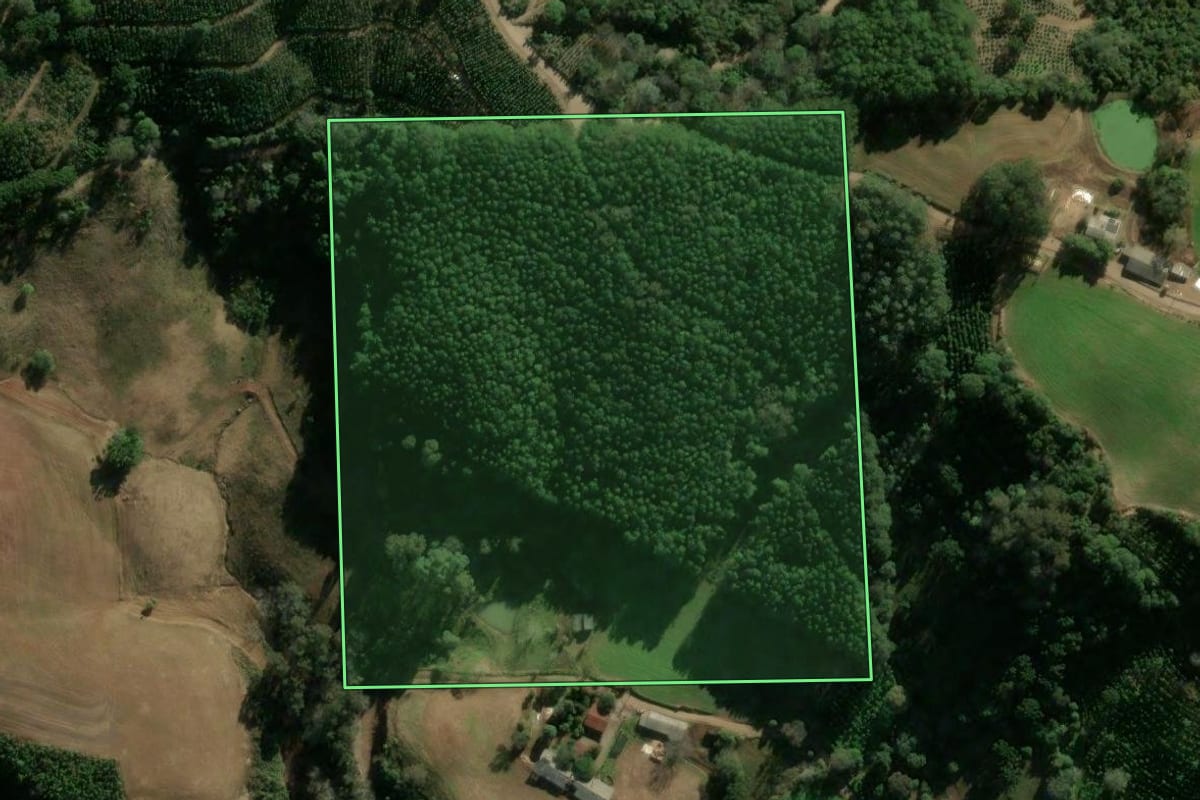 Imagem de satélite do imóvel rural em Ilópolis (RS), com o contorno declarado no CAR desenhado por cima.