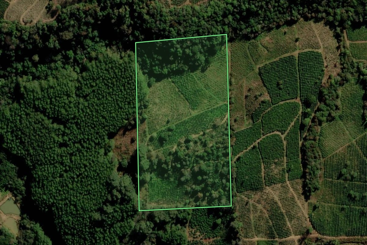 Imagem de satélite do imóvel rural em Ilópolis (RS), com o contorno declarado no CAR desenhado por cima.
