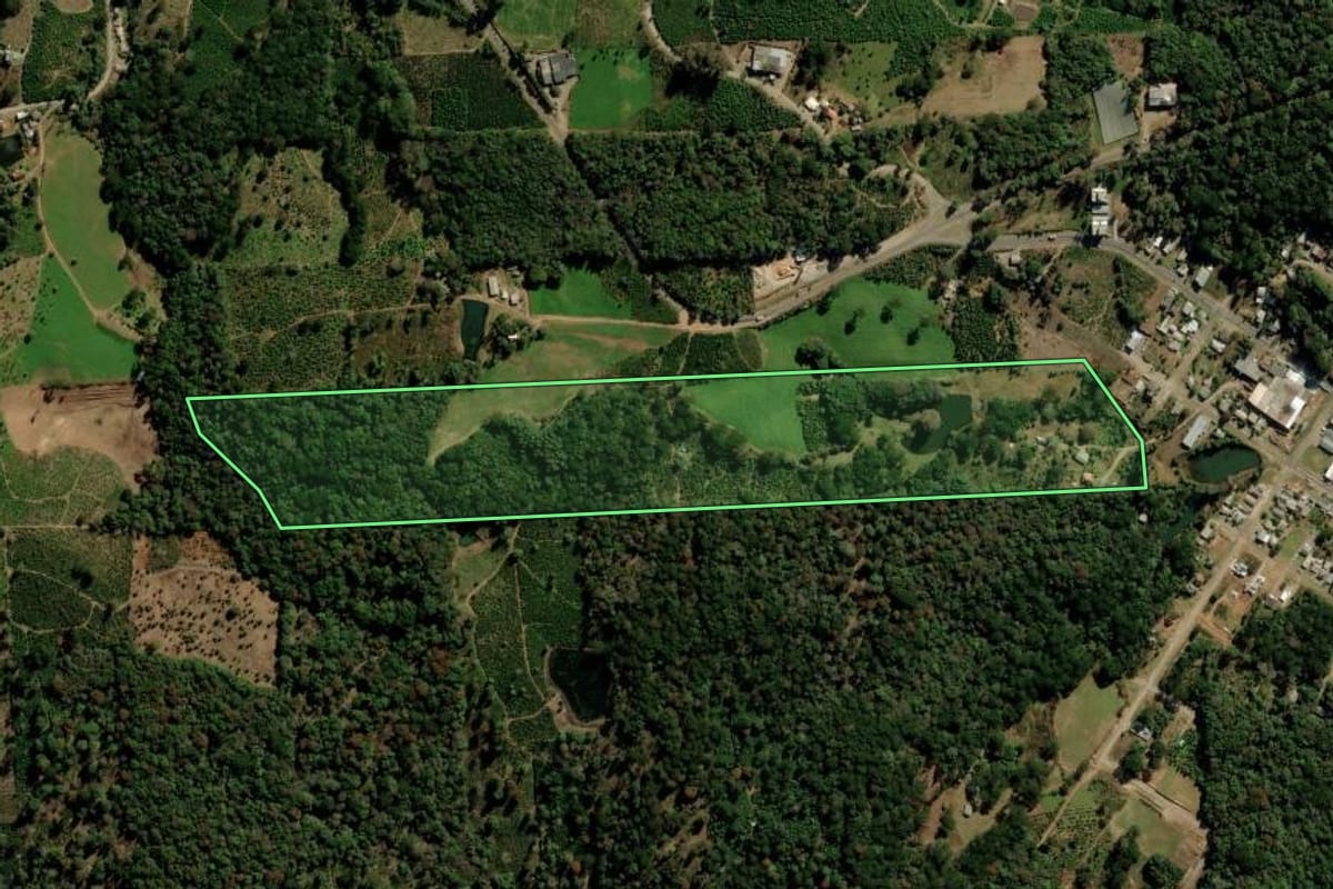 Imagem de satélite do imóvel rural em Ilópolis (RS), com o contorno declarado no CAR desenhado por cima.