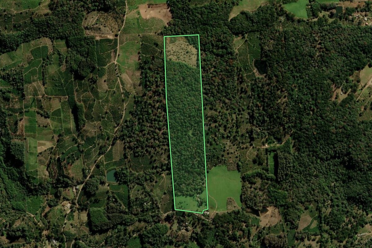 Imagem de satélite do imóvel rural em Ilópolis (RS), com o contorno declarado no CAR desenhado por cima.