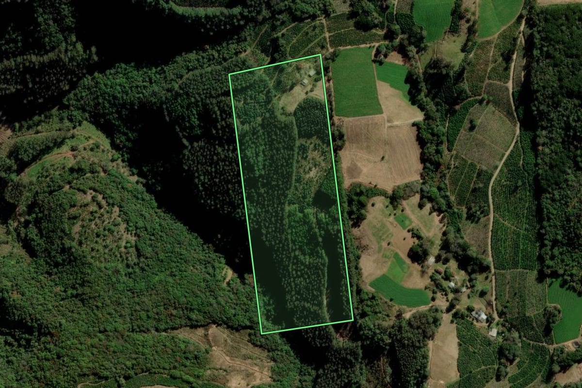 Imagem de satélite do imóvel rural em Ilópolis (RS), com o contorno declarado no CAR desenhado por cima.