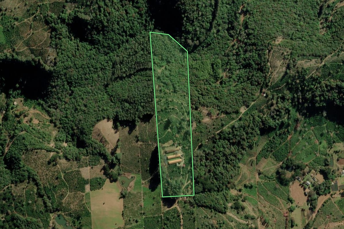 Imagem de satélite do imóvel rural em Ilópolis (RS), com o contorno declarado no CAR desenhado por cima.