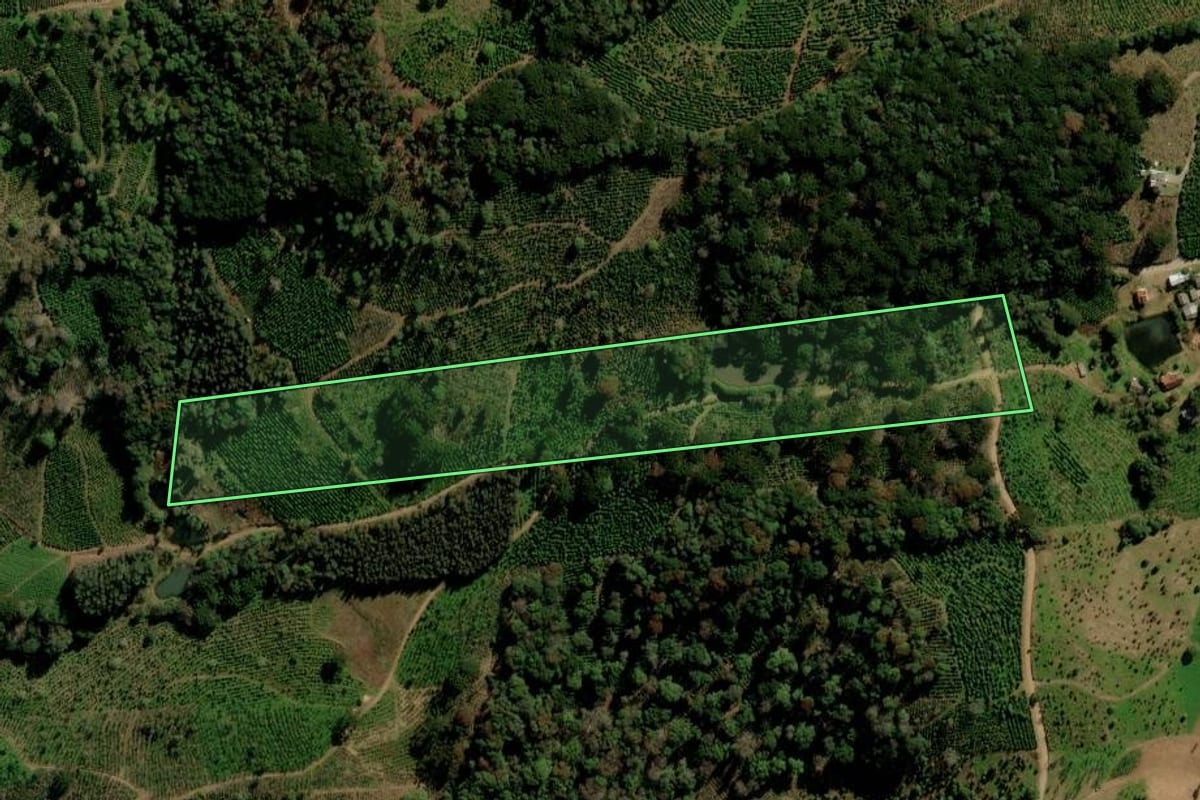 Imagem de satélite do imóvel rural em Ilópolis (RS), com o contorno declarado no CAR desenhado por cima.