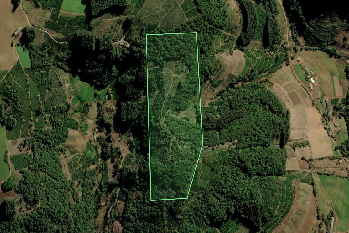 Imagem de satélite do imóvel rural em Ilópolis (RS), com o contorno declarado no CAR desenhado por cima.
