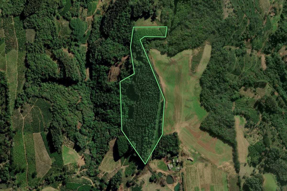 Imagem de satélite do imóvel rural em Ilópolis (RS), com o contorno declarado no CAR desenhado por cima.