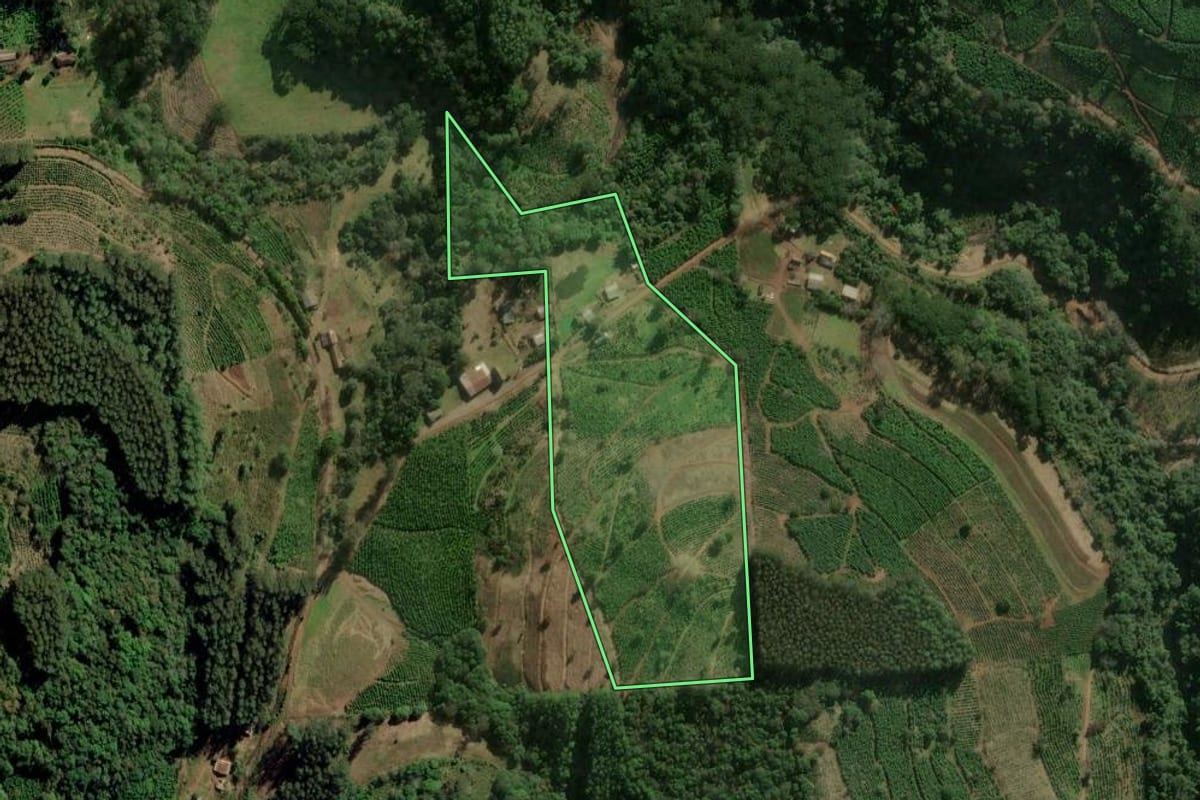 Imagem de satélite do imóvel rural em Ilópolis (RS), com o contorno declarado no CAR desenhado por cima.