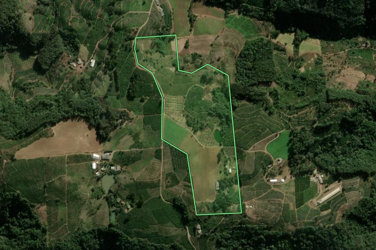 Imagem de satélite do imóvel rural em Ilópolis (RS), com o contorno declarado no CAR desenhado por cima.