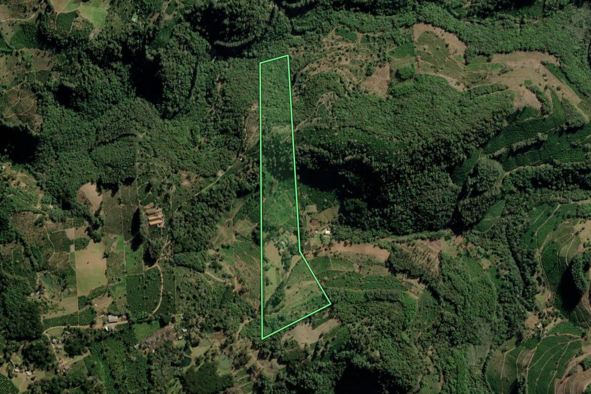 Imagem de satélite do imóvel rural em Ilópolis (RS), com o contorno declarado no CAR desenhado por cima.