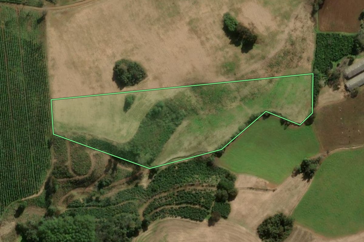 Imagem de satélite do imóvel rural em Ilópolis (RS), com o contorno declarado no CAR desenhado por cima.