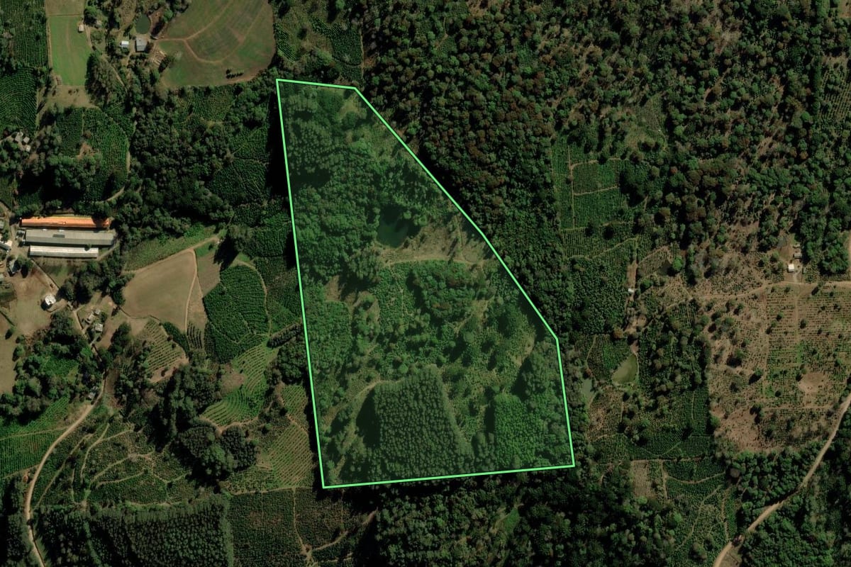 Imagem de satélite do imóvel rural em Ilópolis (RS), com o contorno declarado no CAR desenhado por cima.