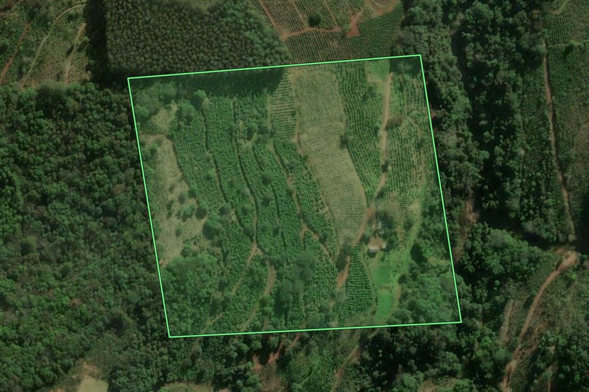 Imagem de satélite do imóvel rural em Ilópolis (RS), com o contorno declarado no CAR desenhado por cima.