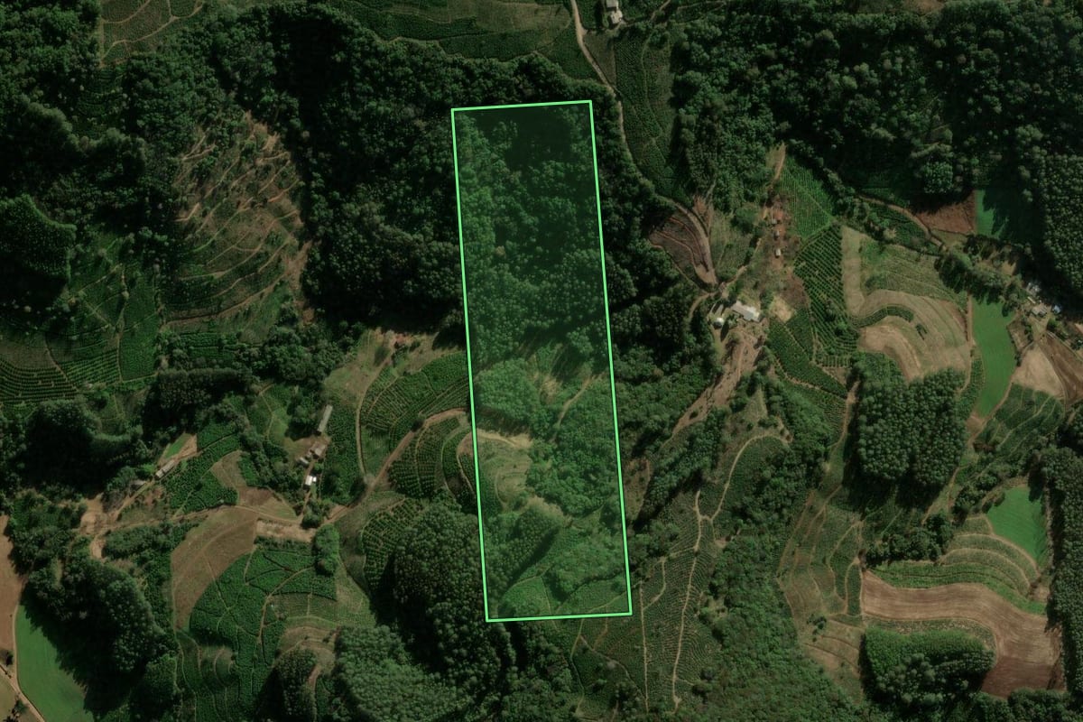 Imagem de satélite do imóvel rural em Ilópolis (RS), com o contorno declarado no CAR desenhado por cima.