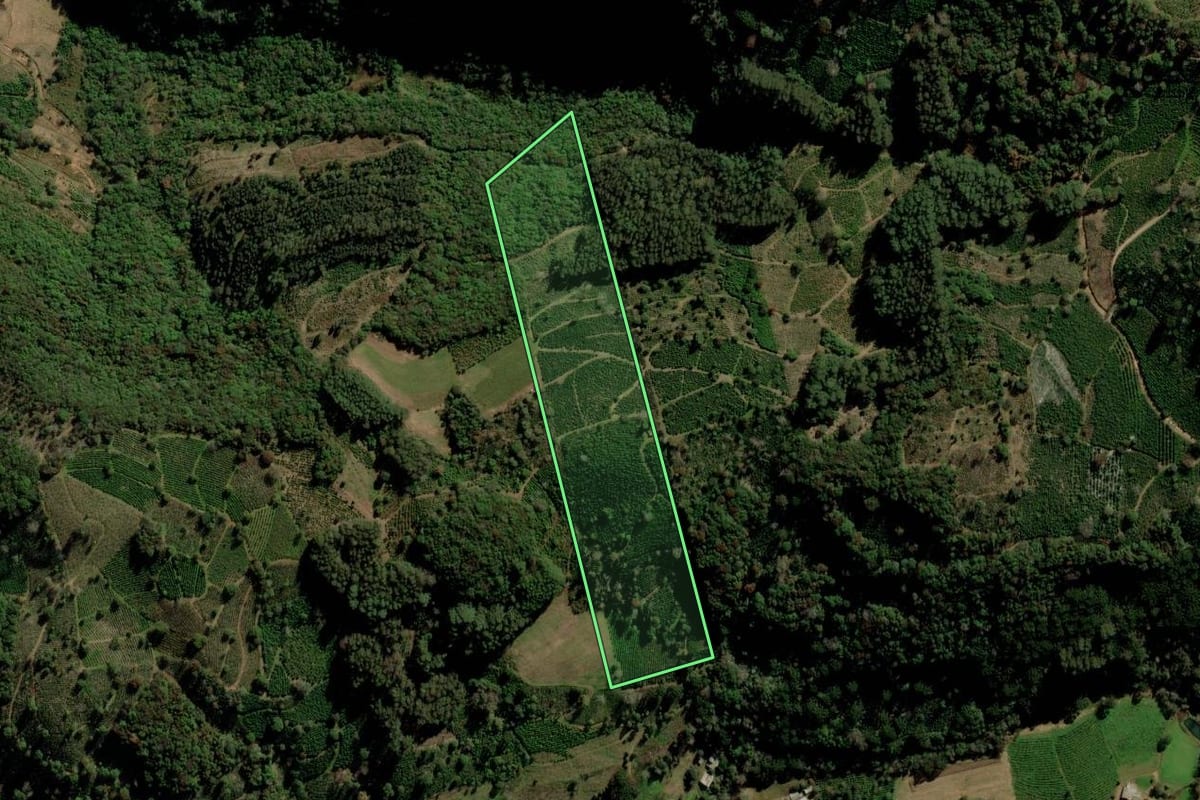 Imagem de satélite do imóvel rural em Ilópolis (RS), com o contorno declarado no CAR desenhado por cima.