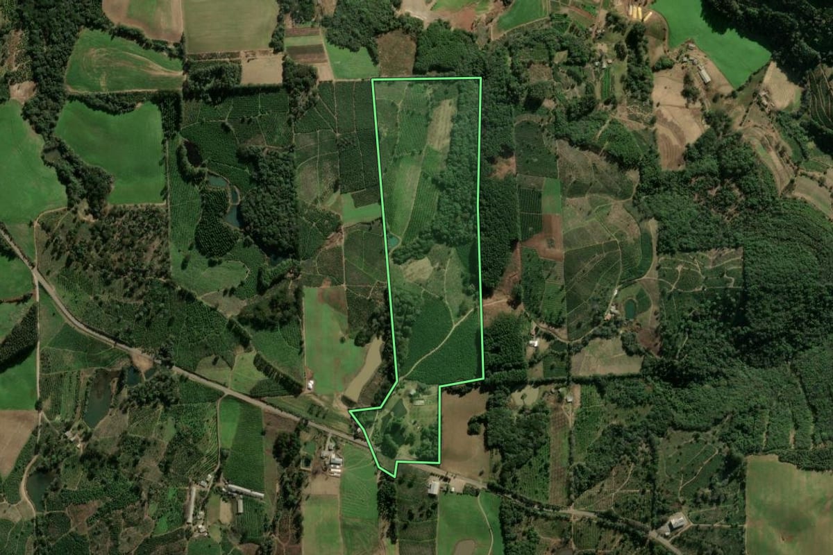 Imagem de satélite do imóvel rural em Ilópolis (RS), com o contorno declarado no CAR desenhado por cima.
