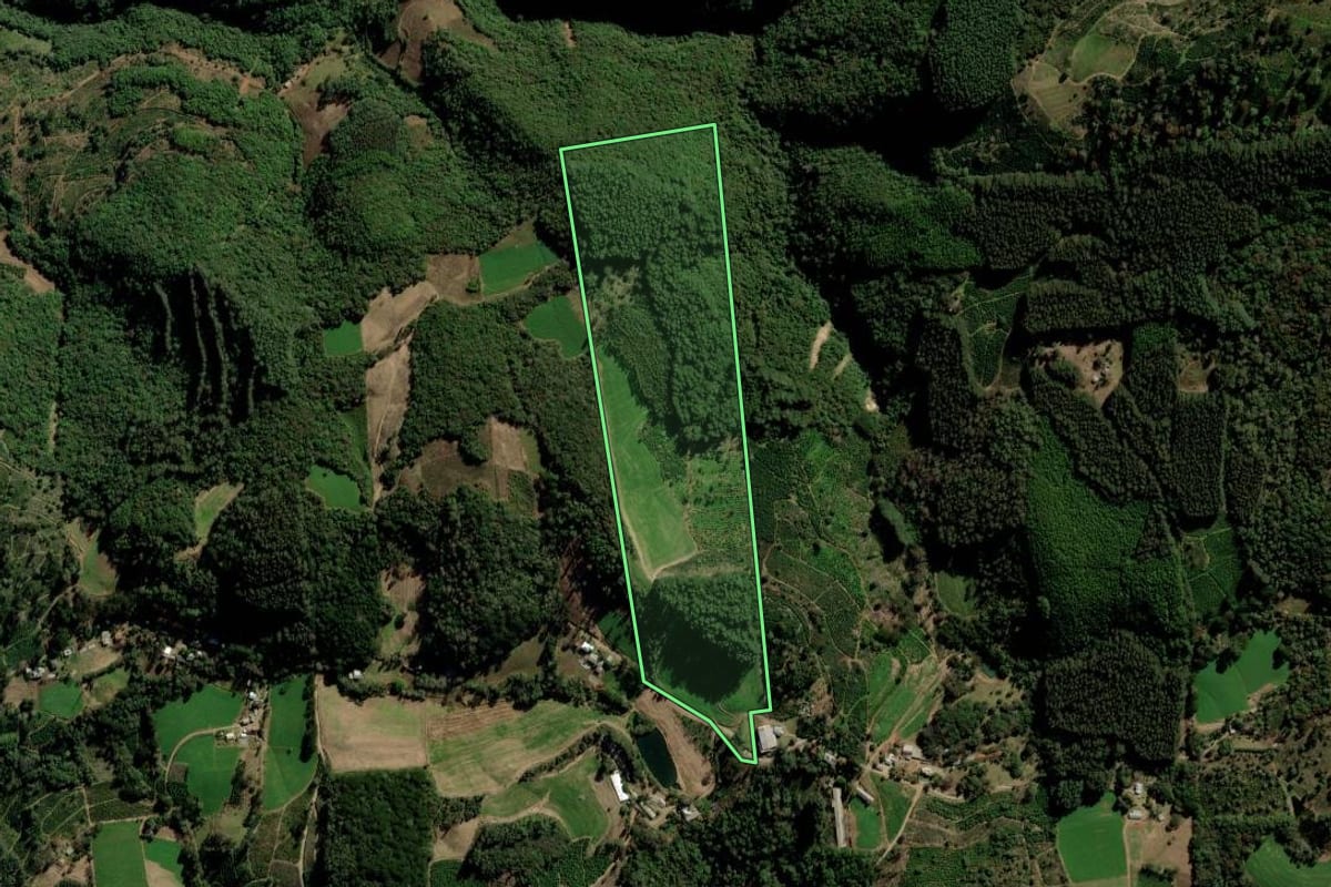 Imagem de satélite do imóvel rural em Ilópolis (RS), com o contorno declarado no CAR desenhado por cima.