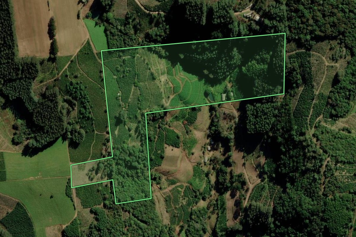 Imagem de satélite do imóvel rural em Ilópolis (RS), com o contorno declarado no CAR desenhado por cima.