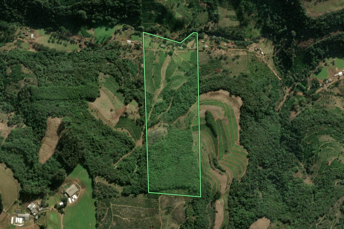 Imagem de satélite do imóvel rural em Ilópolis (RS), com o contorno declarado no CAR desenhado por cima.