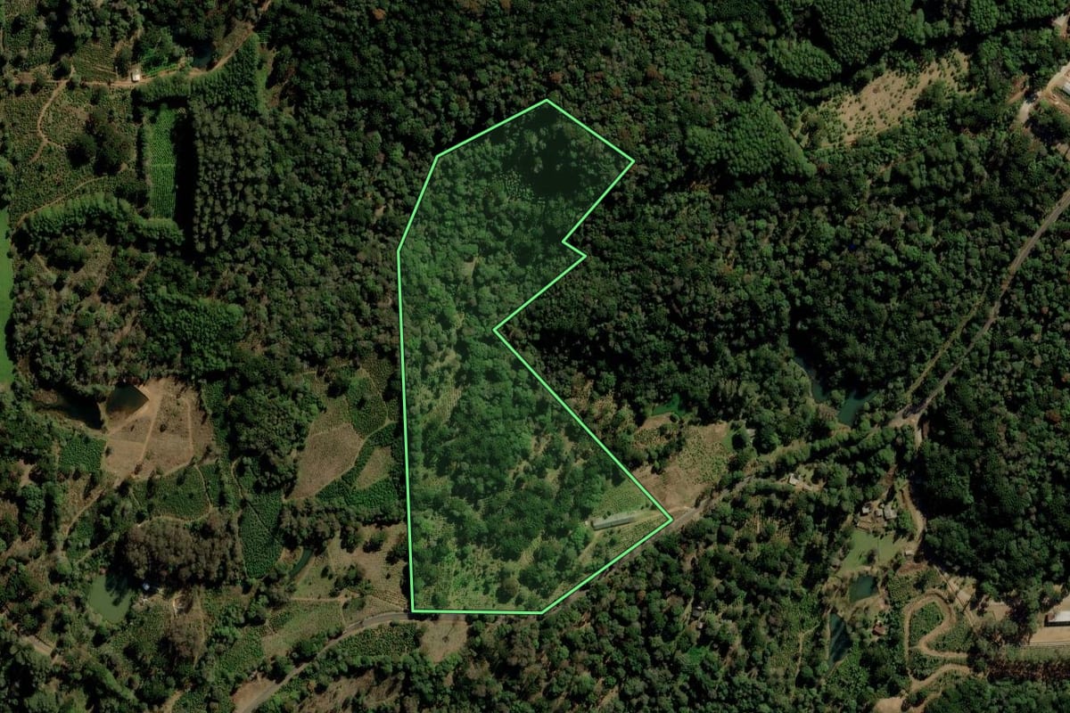 Imagem de satélite do imóvel rural em Ilópolis (RS), com o contorno declarado no CAR desenhado por cima.