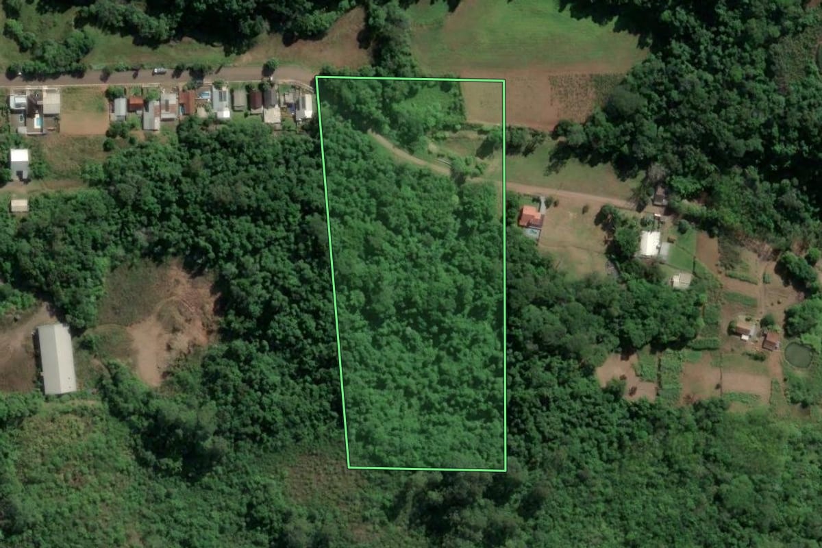 Imagem de satélite do imóvel rural em Imigrante (RS), com o contorno declarado no CAR desenhado por cima.