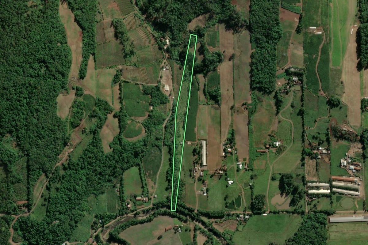 Imagem de satélite do imóvel rural em Imigrante (RS), com o contorno declarado no CAR desenhado por cima.