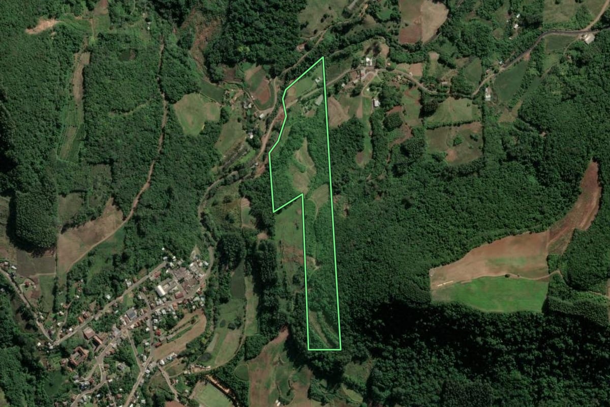 Imagem de satélite do imóvel rural em Imigrante (RS), com o contorno declarado no CAR desenhado por cima.