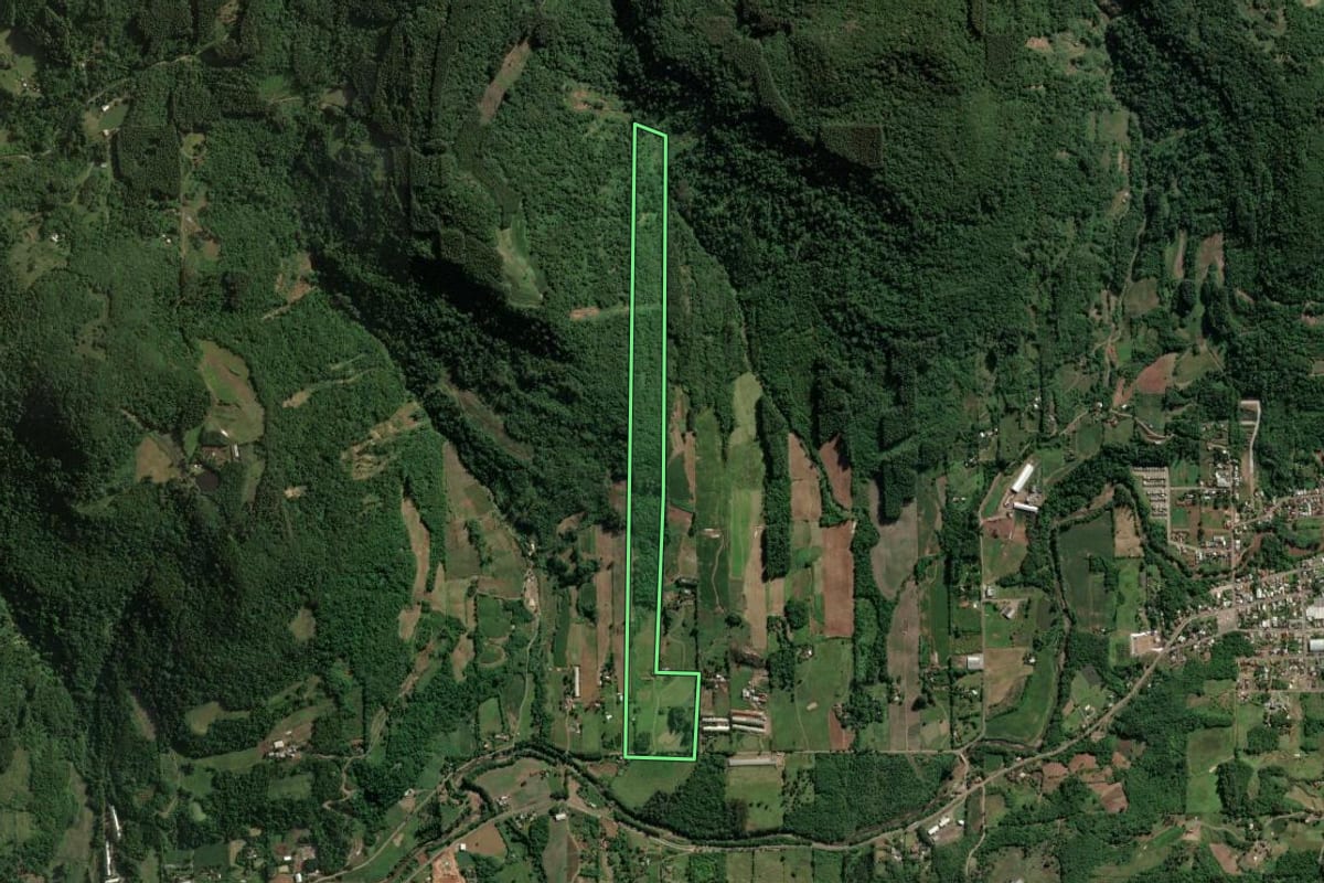Imagem de satélite do imóvel rural em Imigrante (RS), com o contorno declarado no CAR desenhado por cima.