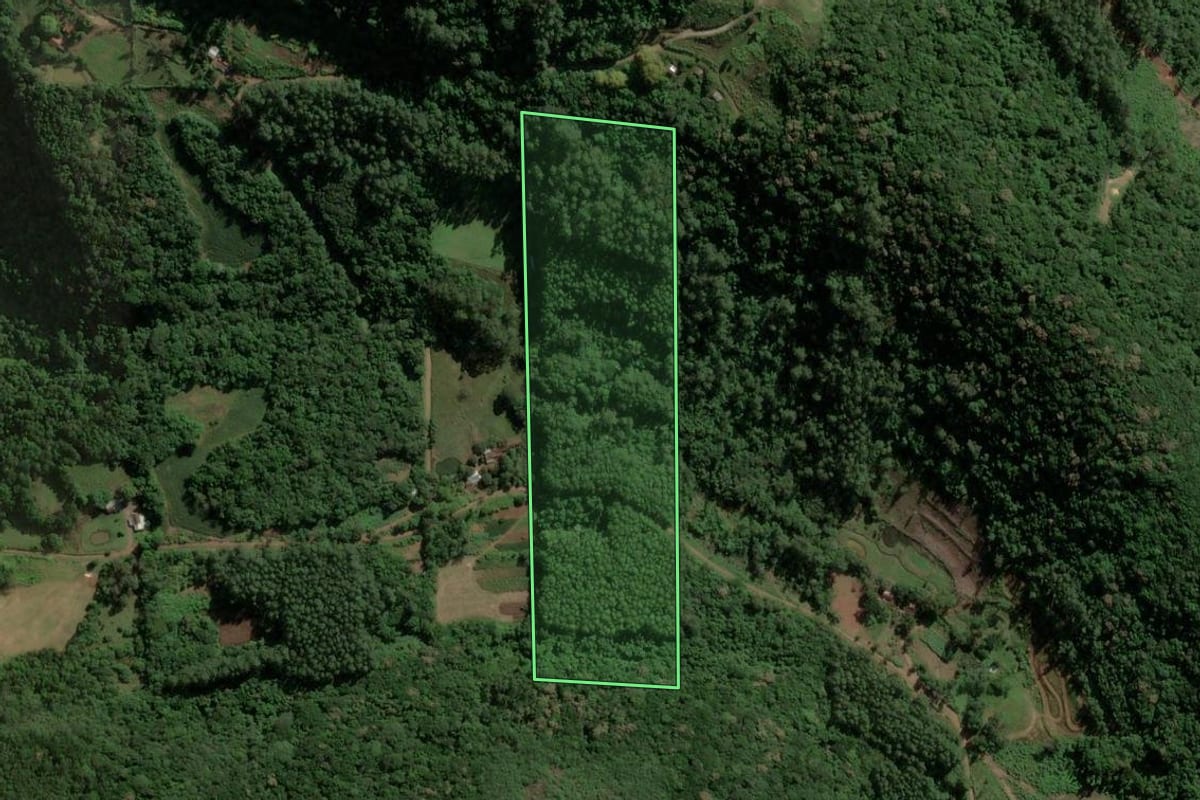 Imagem de satélite do imóvel rural em Imigrante (RS), com o contorno declarado no CAR desenhado por cima.