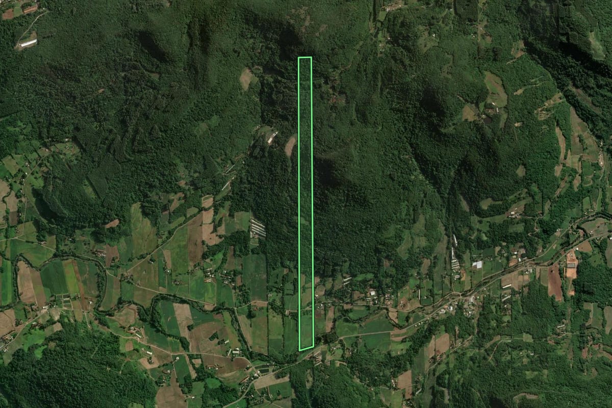 Imagem de satélite do imóvel rural em Imigrante (RS), com o contorno declarado no CAR desenhado por cima.