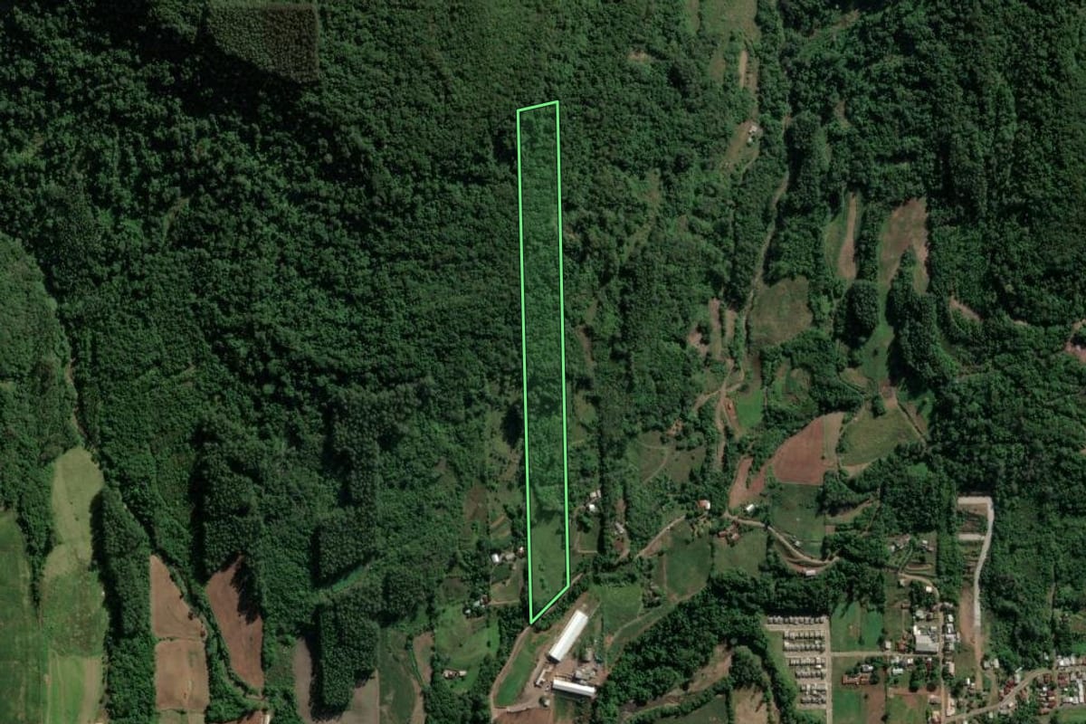Imagem de satélite do imóvel rural em Imigrante (RS), com o contorno declarado no CAR desenhado por cima.