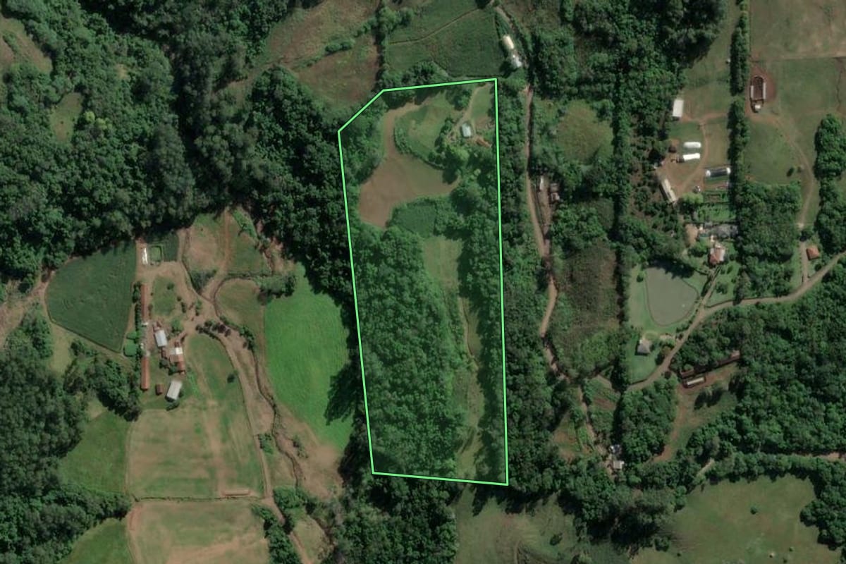 Imagem de satélite do imóvel rural em Imigrante (RS), com o contorno declarado no CAR desenhado por cima.