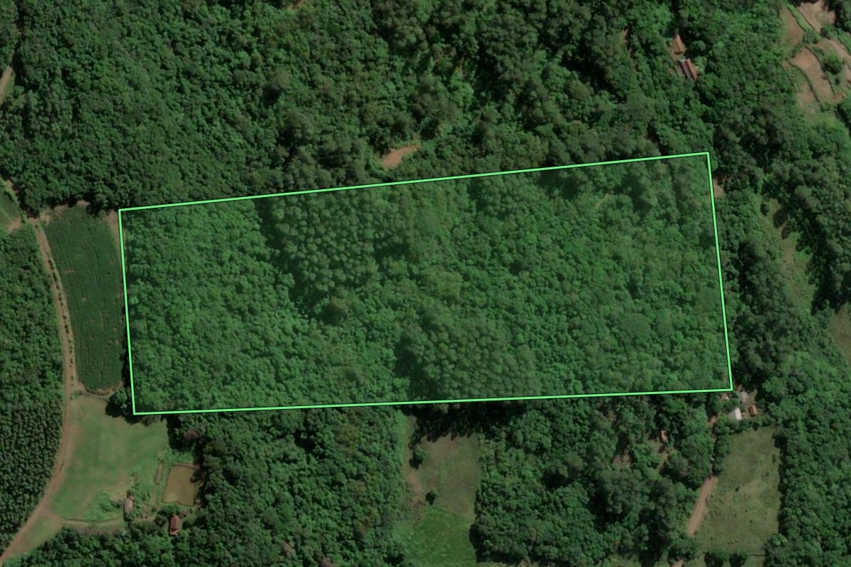 Imagem de satélite do imóvel rural em Imigrante (RS), com o contorno declarado no CAR desenhado por cima.