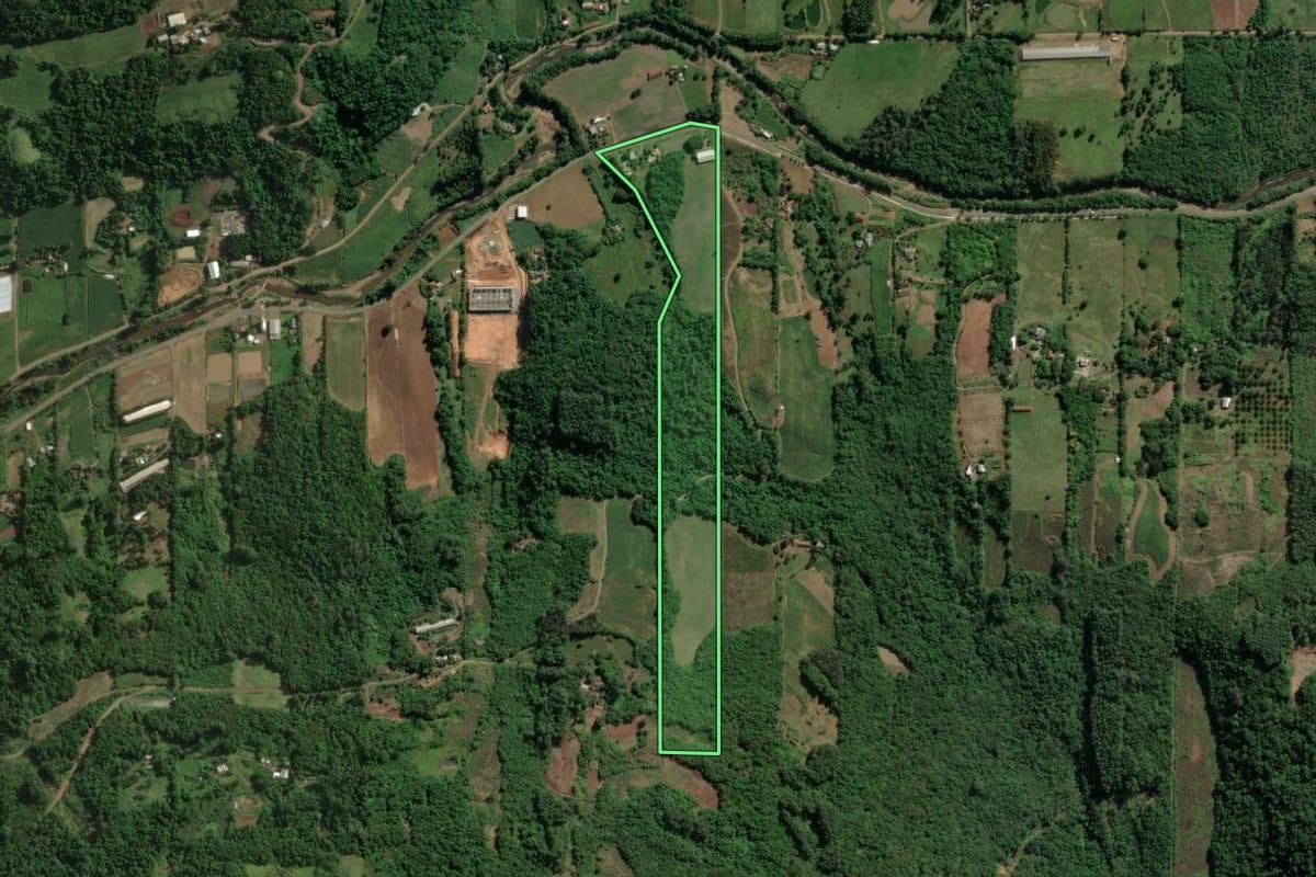 Imagem de satélite do imóvel rural em Imigrante (RS), com o contorno declarado no CAR desenhado por cima.