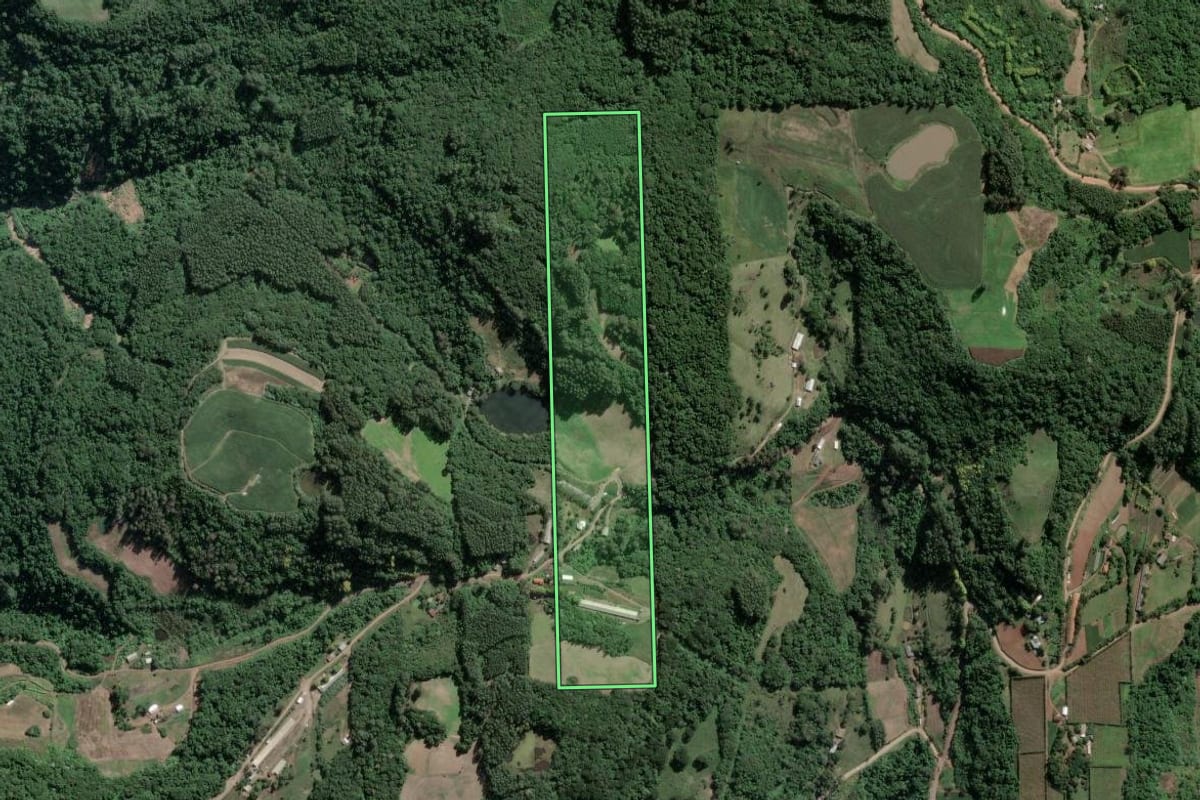 Imagem de satélite do imóvel rural em Imigrante (RS), com o contorno declarado no CAR desenhado por cima.