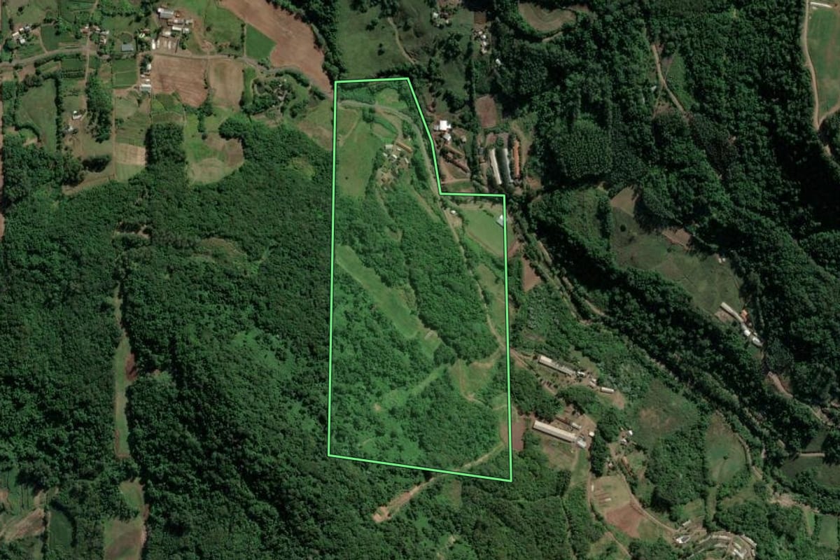 Imagem de satélite do imóvel rural em Imigrante (RS), com o contorno declarado no CAR desenhado por cima.
