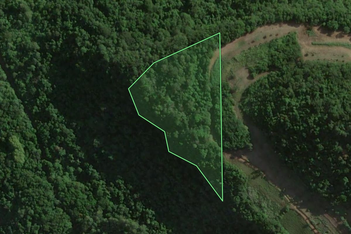 Imagem de satélite do imóvel rural em Imigrante (RS), com o contorno declarado no CAR desenhado por cima.