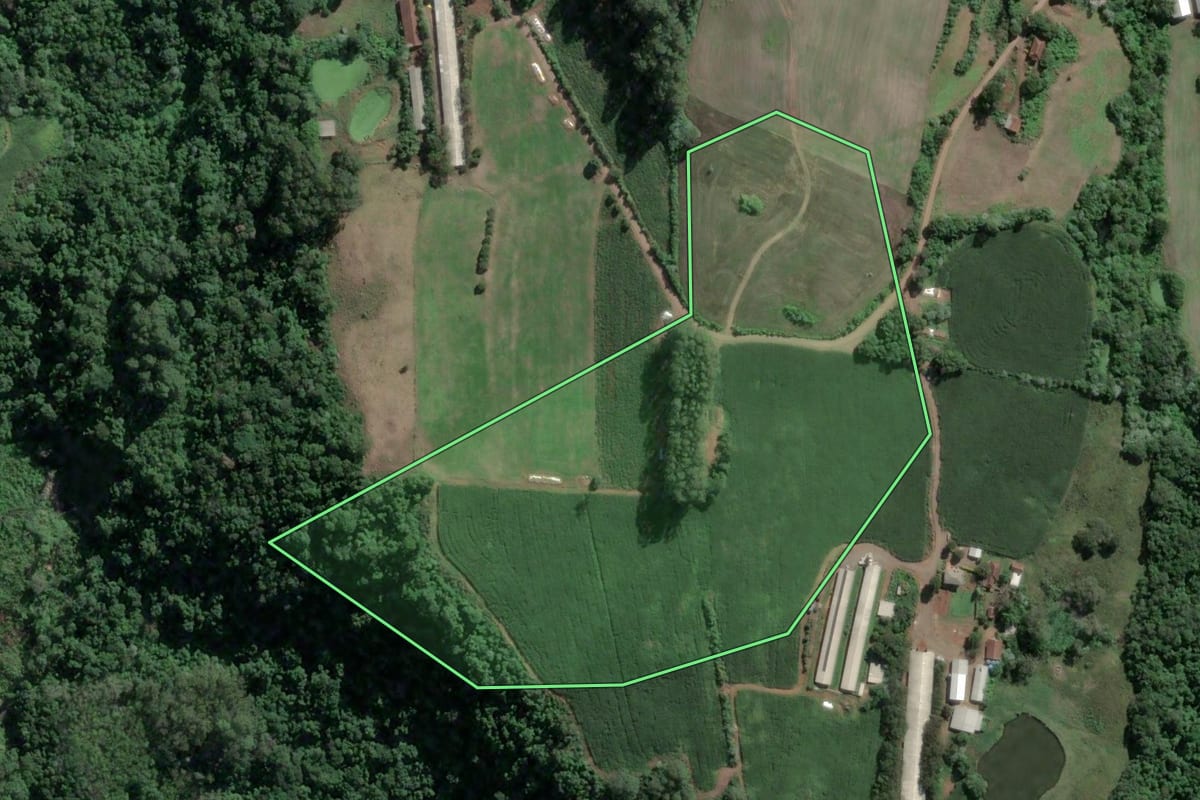 Imagem de satélite do imóvel rural em Imigrante (RS), com o contorno declarado no CAR desenhado por cima.