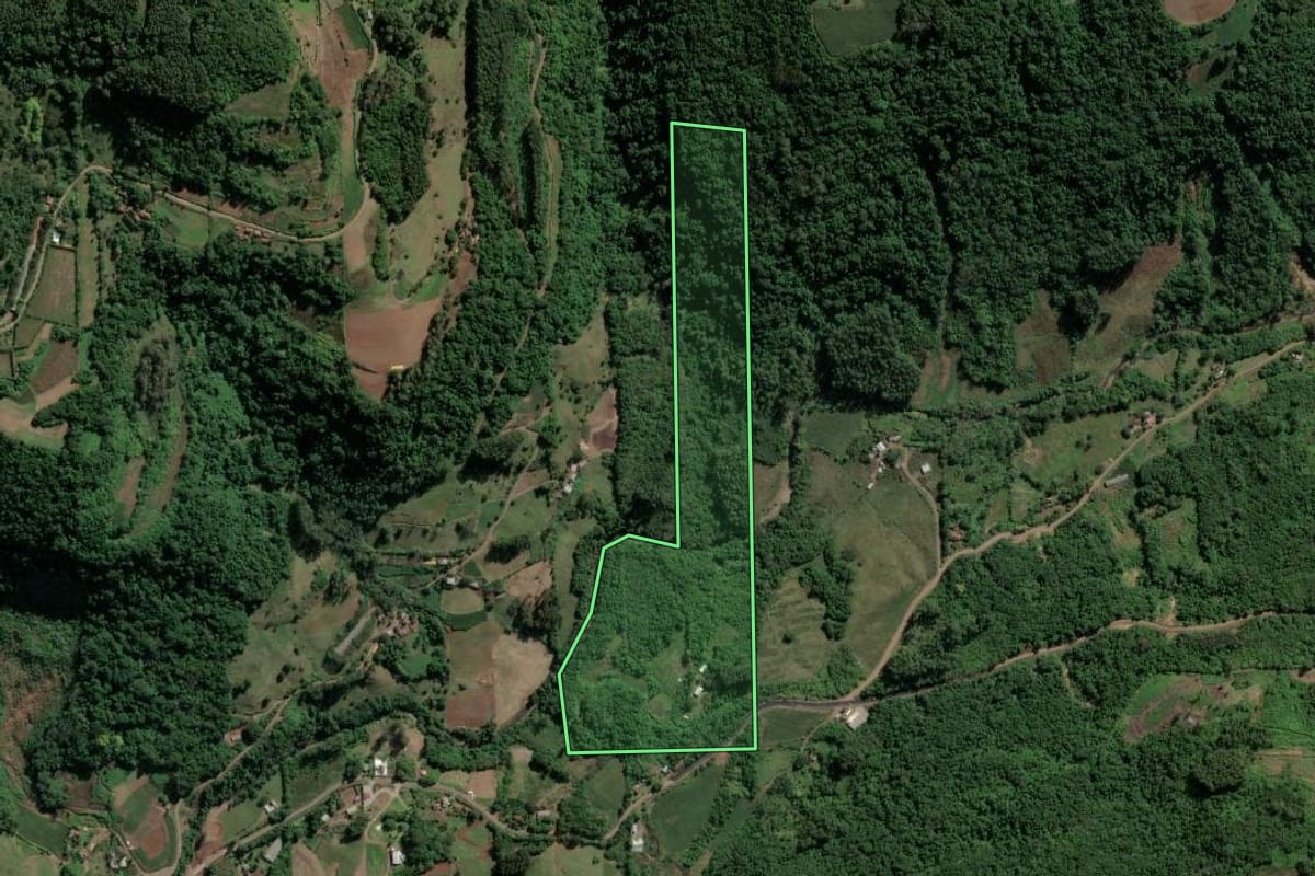 Imagem de satélite do imóvel rural em Imigrante (RS), com o contorno declarado no CAR desenhado por cima.